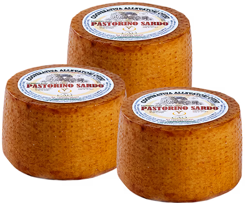 Pastorino Sardo